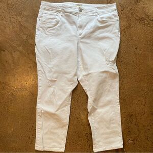 Ann Taylor Loft white distressed stretch‎ curvy skinny cropped capri jeans